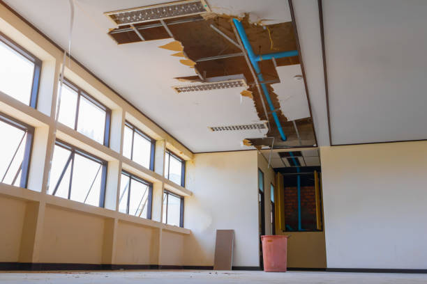 Best Local water damage restoration  in Dunnigan, CA