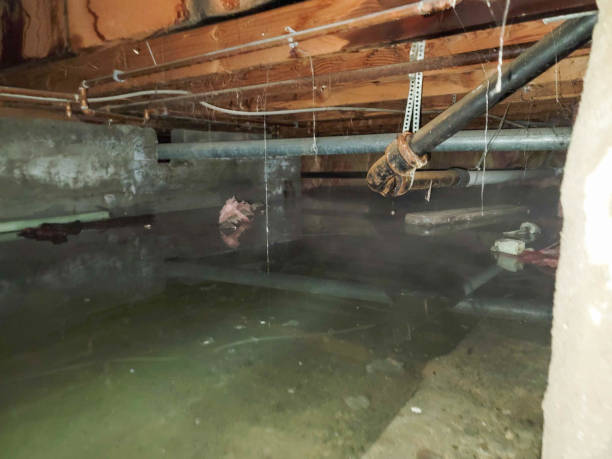 Best Ceiling water damage repair  in Dunnigan, CA