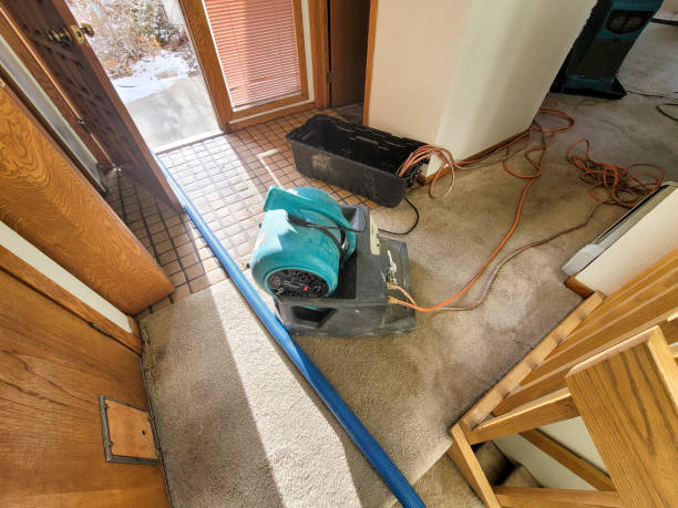 Best Water damage restoration near me  in Dunnigan, CA