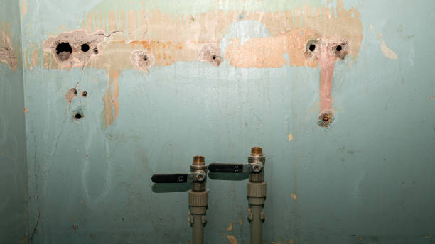 Best Water damage restoration company  in Dunnigan, CA