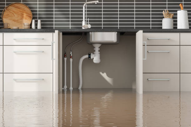 Best 24/7 water damage repair  in Dunnigan, CA