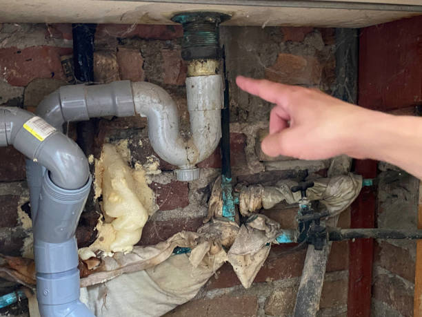 Best Water damage cleanup near me  in Dunnigan, CA
