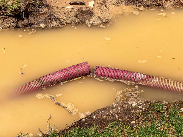 Best Water damage cleanup near me  in Dunnigan, CA