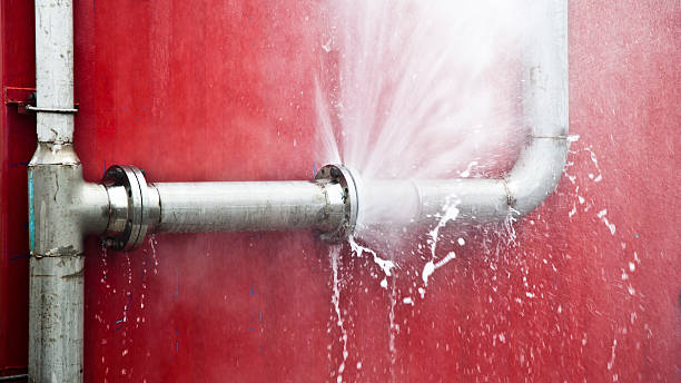 Best Professional water damage repair  in Dunnigan, CA